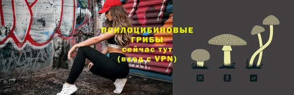 прущие грибы Баксан