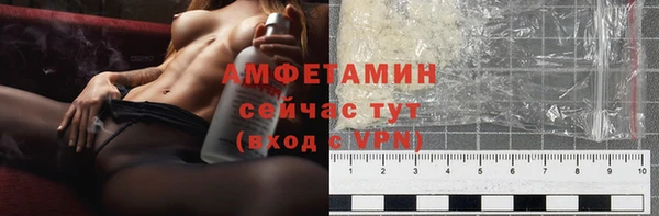 прущие грибы Баксан