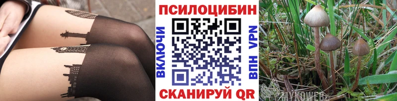 Псилоцибиновые грибы мицелий  Саянск 